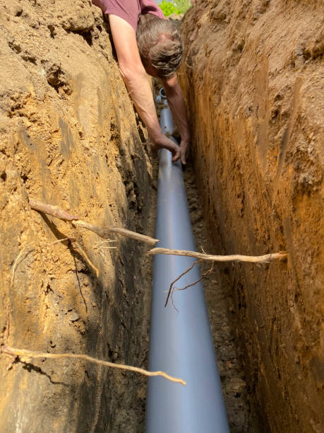 Best Flood damage cleanup  in Wilson, WY