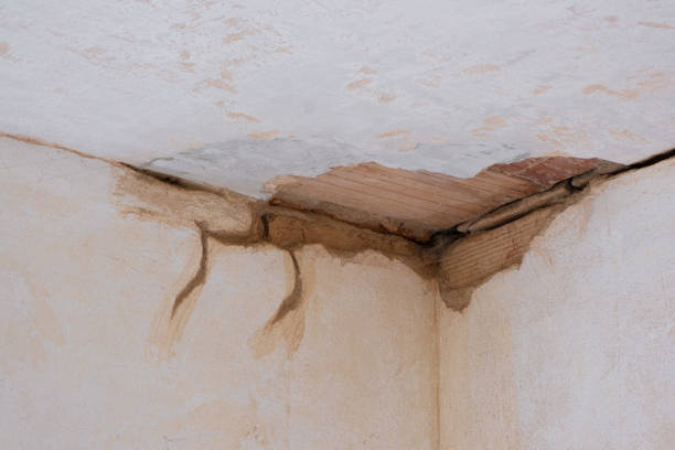 Best Basement water damage restoration  in Wilson, WY