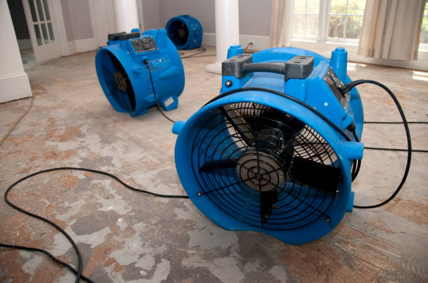 Best 24/7 water damage repair  in Wilson, WY