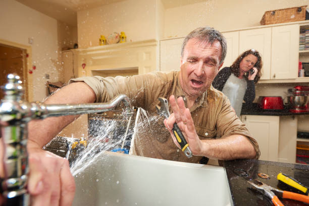 Best Water damage restoration experts  in Wilson, WY